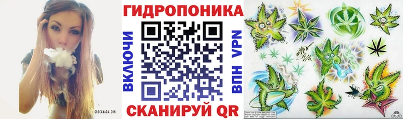 Каннабис VHQ  купить закладку  Александровск-Сахалинский 